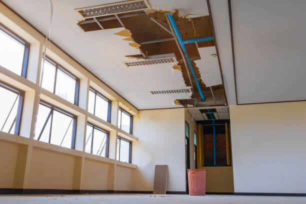 Best Flooded house restoration  in Laurens, IA
