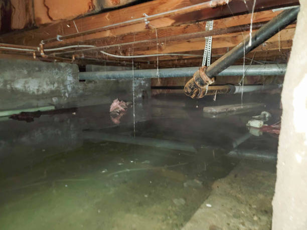 Best Water damage restoration near me  in Laurens, IA
