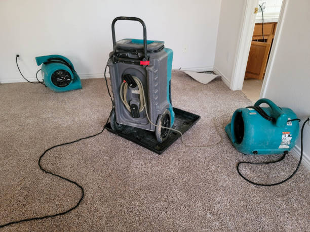 Best Professional water damage repair  in Laurens, IA