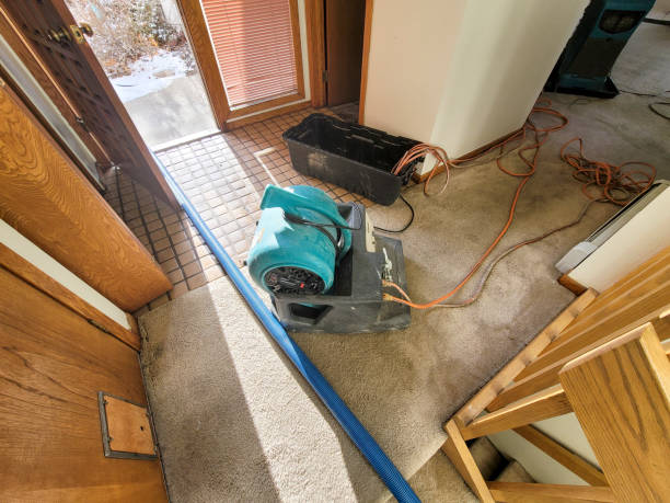 Best Water damage cleanup near me  in Laurens, IA