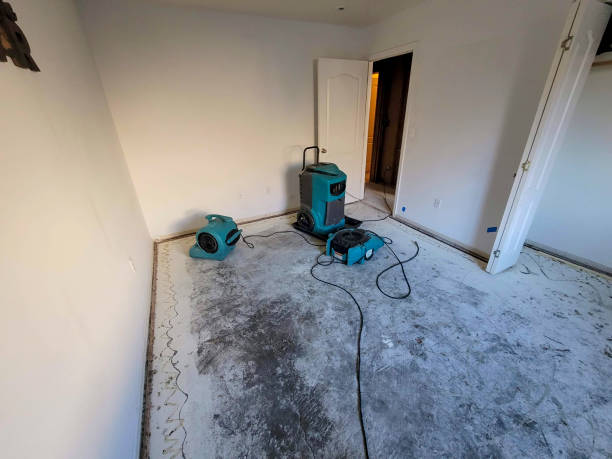 Best Water damage restoration company  in Laurens, IA