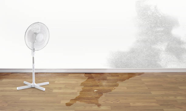 Best Water damage restoration near me  in Laurens, IA