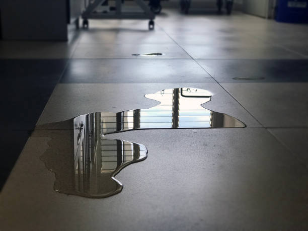 Best Water damage restoration near me  in Laurens, IA