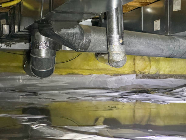 Best Local water damage restoration  in Laurens, IA