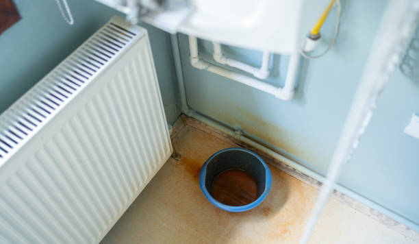 Best Flood restoration services  in Laurens, IA