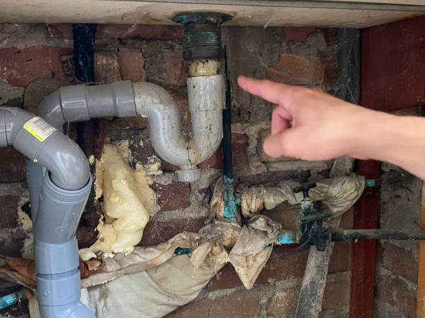 Best Basement water damage restoration  in Laurens, IA