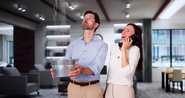 Best Water damage restoration insurance claims  in Laurens, IA