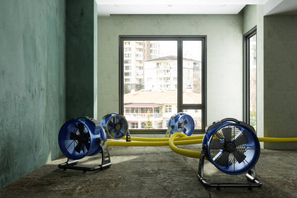 Best Commercial water damage restoration  in Laurens, IA