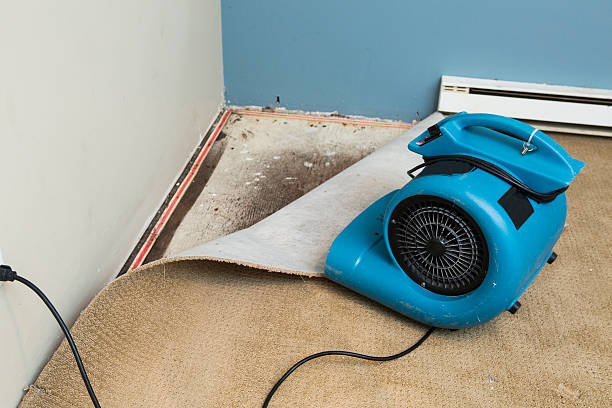 Best 24-hour water damage restoration  in Laurens, IA